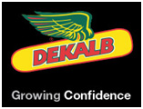 dekalb seed company logo